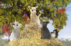 Wonder Pets: In The City: Save the Screaming Goat! / Help the Wild Culpeo!