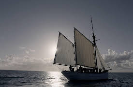 1900 Island: Fragile Community