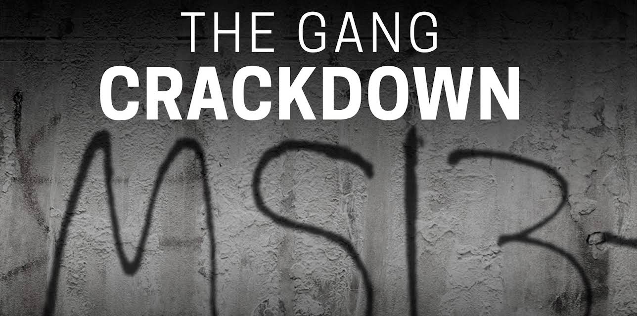 The Gang Crackdown (1983)