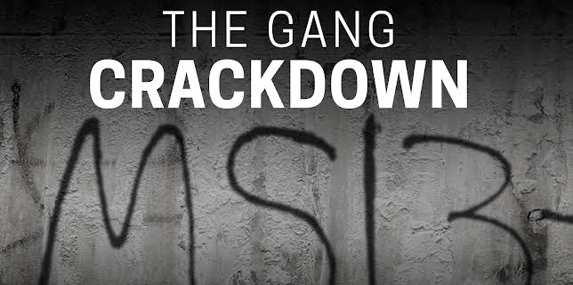 The Gang Crackdown (1983)