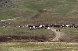 Wardens: Behind The Shed