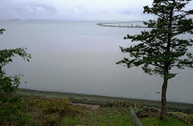 Beach Hunters: Hunting For a New Start in Bellingham, Washington