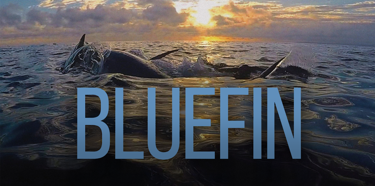 Bluefin (2018)