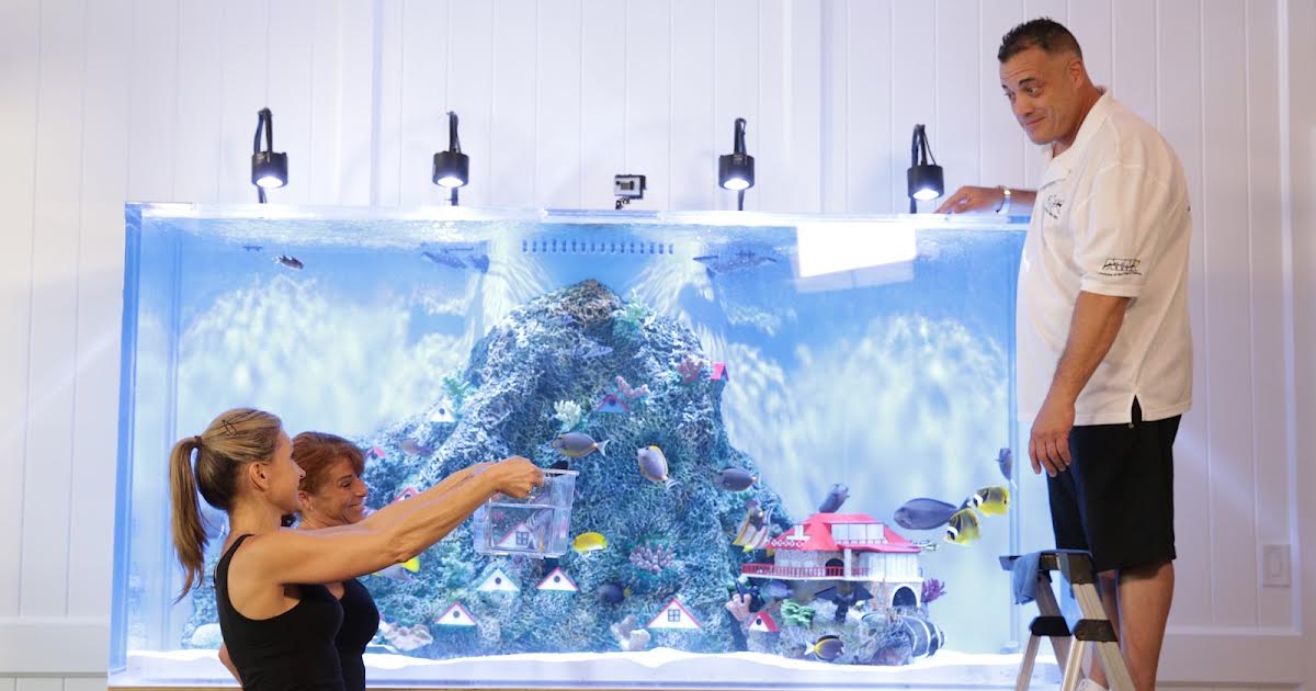 19/12 18:00 | Tanked på Animal Planet
