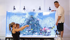 Tanked (S8 E10)