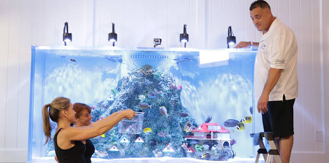 01:30: Akvariedesignerne (S8 E10) (S8) | Animal Planet | 12/11 2025