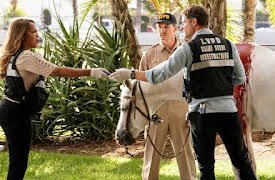 CSI: Vegas: Episode 7