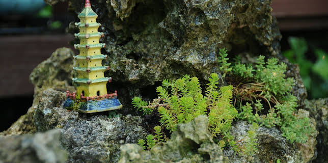 05:25: How Do They Do It? (S11 E4) (S11) | Kanal 9 | 11/13 2025