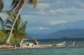 Wild Caribbean: Hurricane Hell