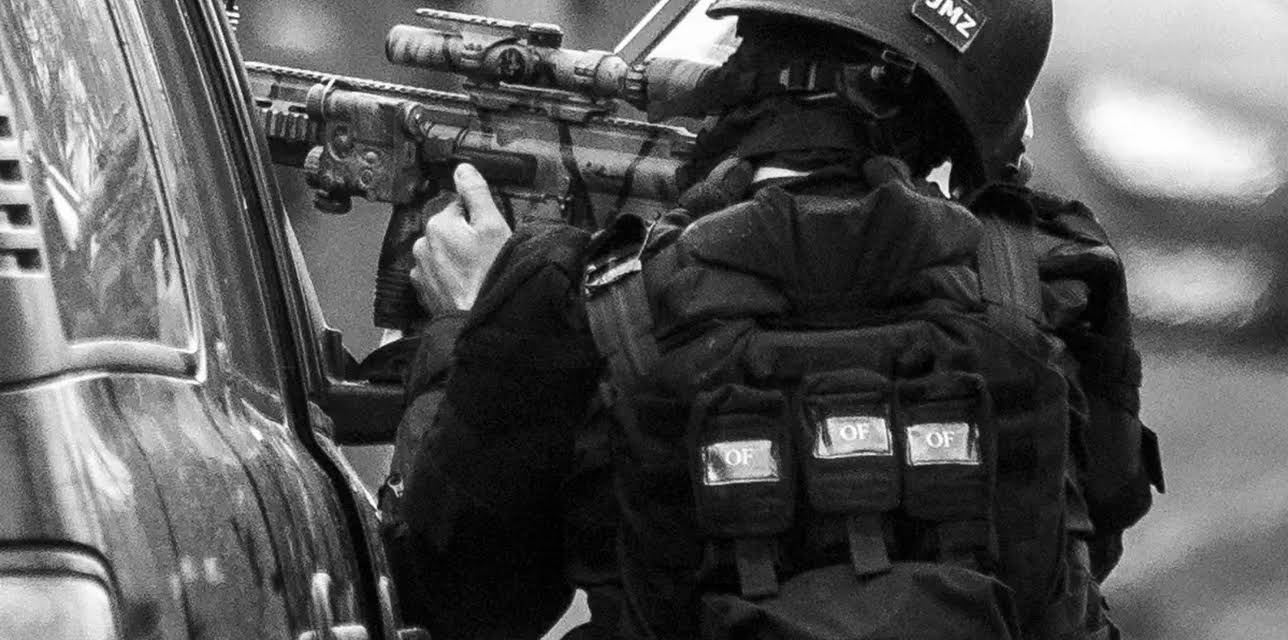 Three Days of Terror: The Charlie Hebdo Attacks (2016)