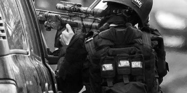 Three Days of Terror: The Charlie Hebdo Attacks (2016)