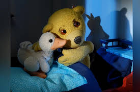 Ludovic: T'was a Duck and Stormy Night