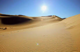 Race of Life: The Great Desert Race