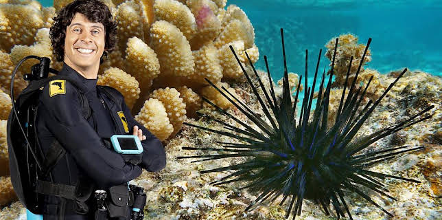12:10 PM: Andy's Aquatic Adventures (S2) | Cbeebies | 12/14 2025