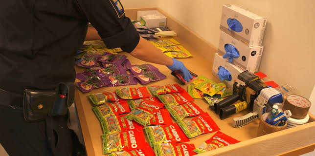 13:55: Gränsbevakarna Sverige (S2 E7) (S2) | Kanal 5 | 12/3 2025