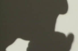 Exhibit A: Secrets of Forensic Science: Sex Fiend