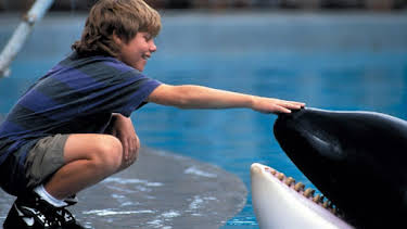 11:25 PM: Free Willy | Sky Family | 6/15 2026