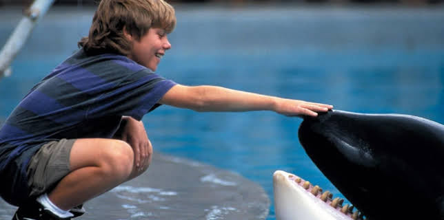 10:30 PM: Free Willy | Sky Family | 3/20 2026