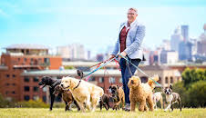 Dogs Behaving (Very) Badly Australia (S2 E3)