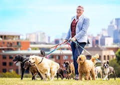 Dogs Behaving (Very) Badly Australia