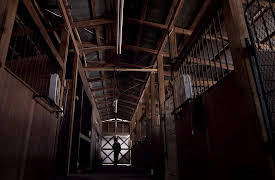 Murder Calls Season 1: The Dark Horse