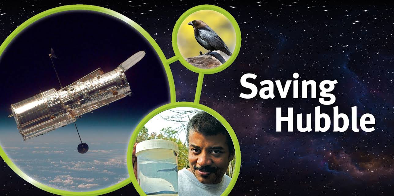 Saving Hubble (2005)