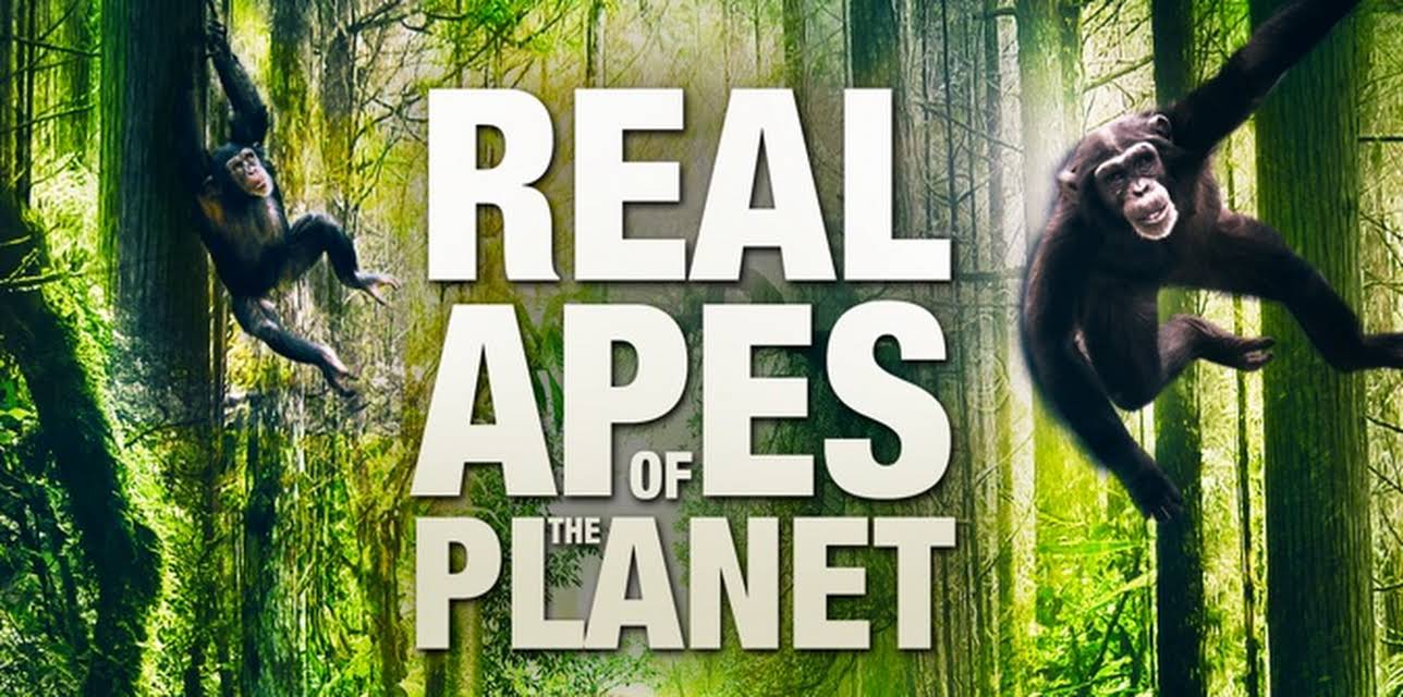 Real Apes of the Planet