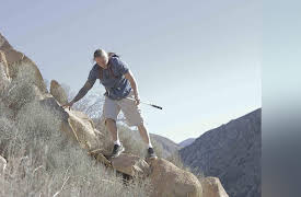 Venom Hunters Season 1: Liquid Gold