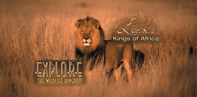 Explore The Wildlife Kingdom: Lions - Kings of Africa (2026)