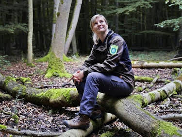 23:35: Mein Wald - Fünf Jahre zwischen Mythos und Holz | SWR Fernsehen RP | 9/24 2026