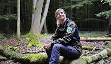 Mein Wald - Fünf Jahre zwischen Mythos und Holz