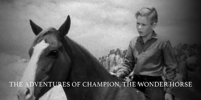 The Adventures of Champion, The Wonder Horse