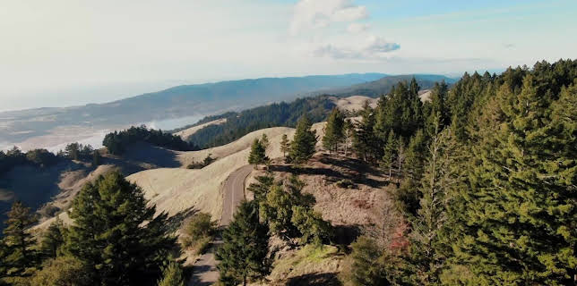 20:15: City Confidential - Verbrechen nebenan | Sat1 Gold | 12/22 2025