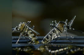 Don't Blink: Because it’s Beautiful