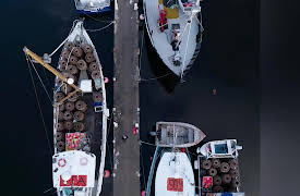 Debi Marshall Investigates: Frozen Lies: Too Many Mysteries