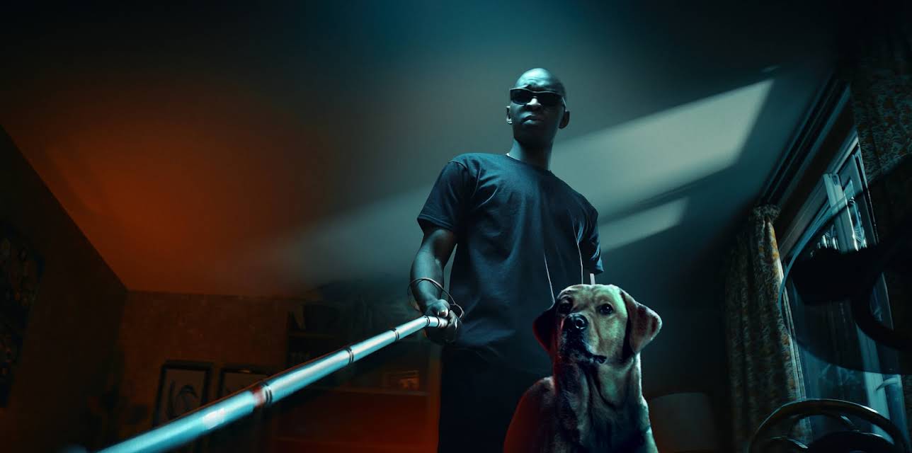 In His Shadow (2023)