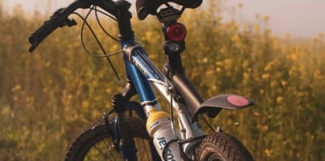 The Ride: Overcoming the Impossible (2017)