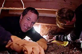 Dirty Jobs Season 1: Termite Controller