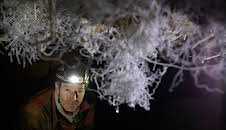 Faszination Erde - mit Dirk Steffens