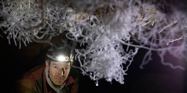 11:45: Faszination Erde - mit Dirk Steffens | ZDFneo | 11/16 2025