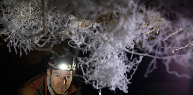 Faszination Erde - mit Dirk Steffens