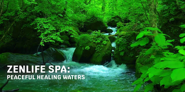 ZenLIFE Spa: Peaceful Healing Waters (2024)