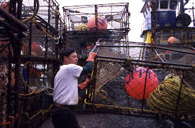 Deadliest Catch: Episode 9