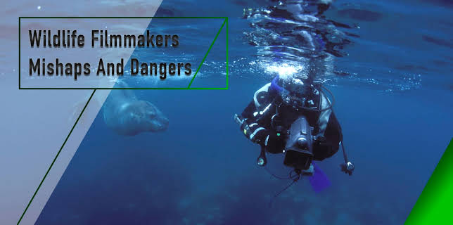 Wildlife Filmmakers - Mishaps And Dangers (2004)