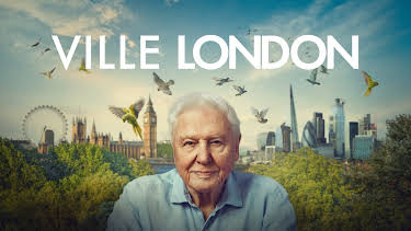 21:10: Ville London | NRK 1 | 6/25 2026