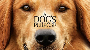 01:00: A Dog’s Purpose | Viasat Film Family | 4/16 2026
