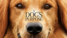 A Dog’s Purpose