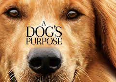 A Dog’s Purpose