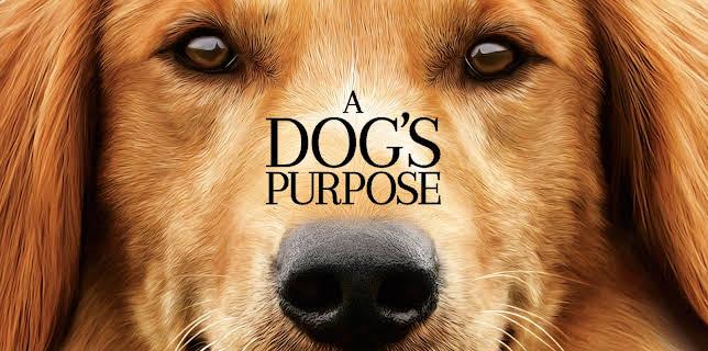 16:00: A Dog’s Purpose | Viasat Film Hits | 11/3 2025