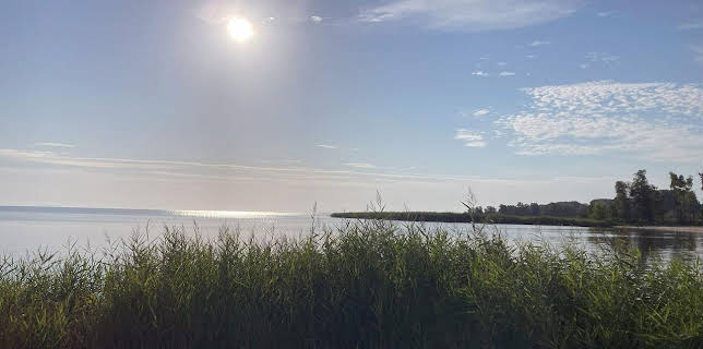 15:50: Unterwegs am Stettiner Haff | Arte | 11/10 2025